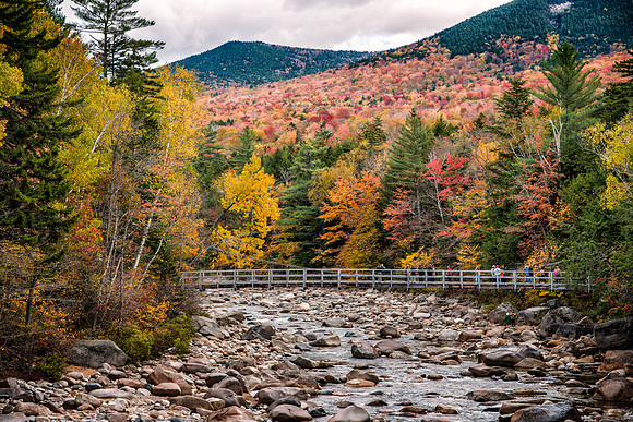 Lincoln Woods, Lincoln, NH