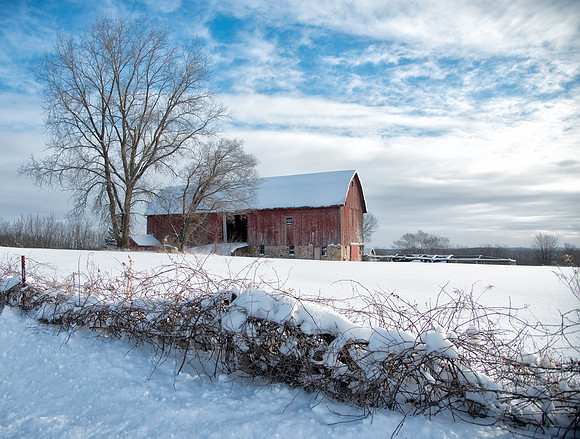 Winter Farm Haven