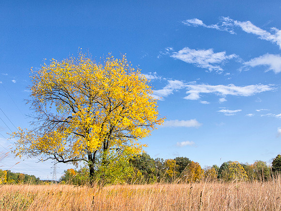 Prairie Beacon