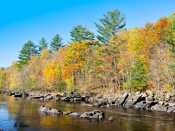 River color