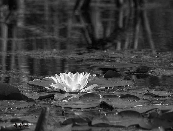 Stand out from the crowd