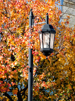 Light and Color