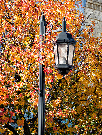 Light and Color