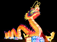 Chinese Lights - Dragon