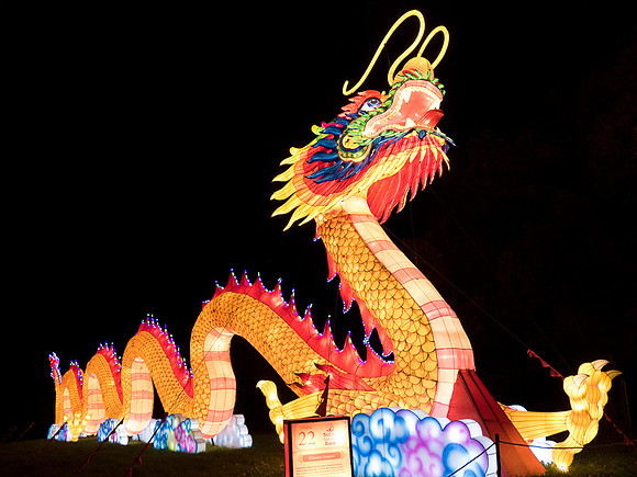 Chinese Lights - Dragon