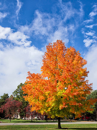 Color and Sky