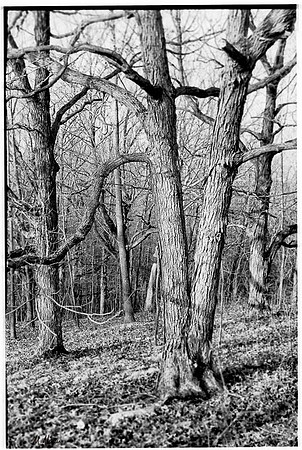 Lines and shadows