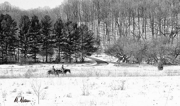 On the snowy trail