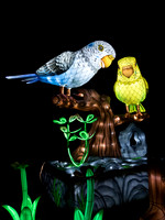 Chinese Lights - Birds