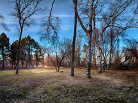 Peaceful Glade