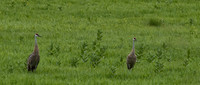 Prairie Partners