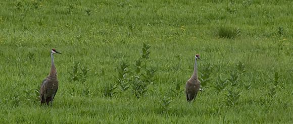 Prairie Partners