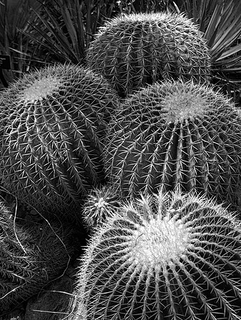 Spiky Symmetry