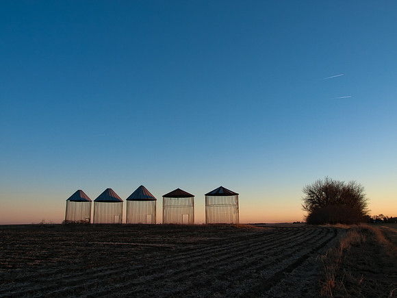 Awaiting the Harvest