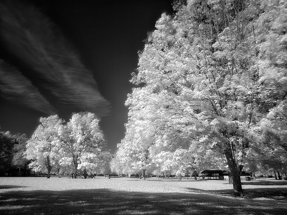 Infrared Spring