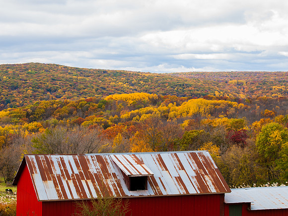 Baraboo Hills Autumn