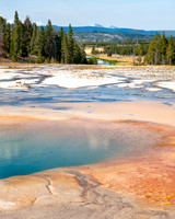 Turquoise Pool