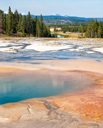 Turquoise Pool
