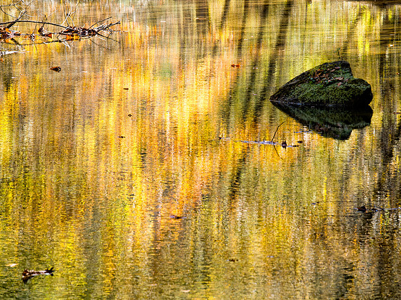 Liquid Palette