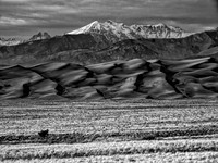 Shades of Grey