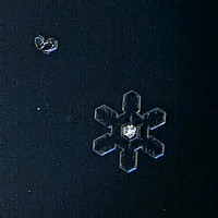 Snowflake Portrait