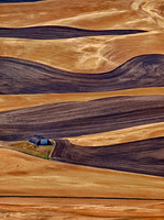 Palouse Palette Strokes
