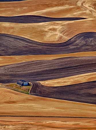 Palouse Palette Strokes