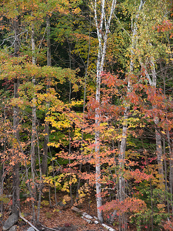 Fourth Iron Trestle, NH