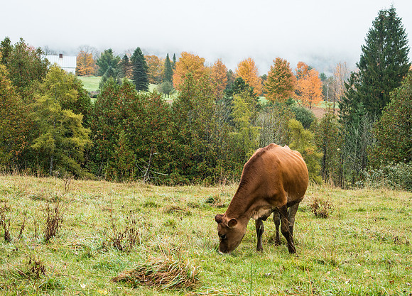 East Burke, VT